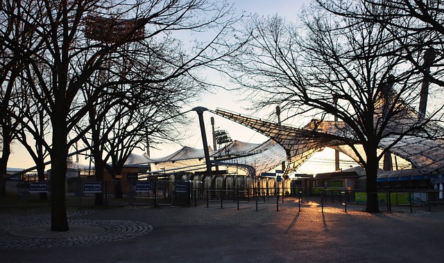 上海的比赛 上海的比赛