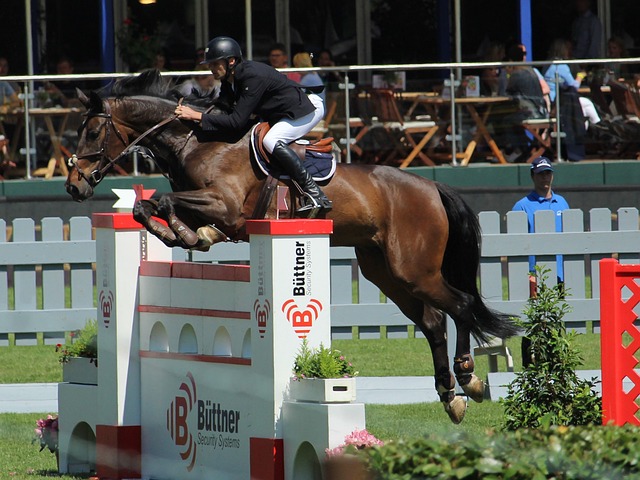 计划在各大 计划在各大