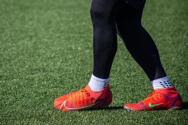 将会邀请国 将会邀请国