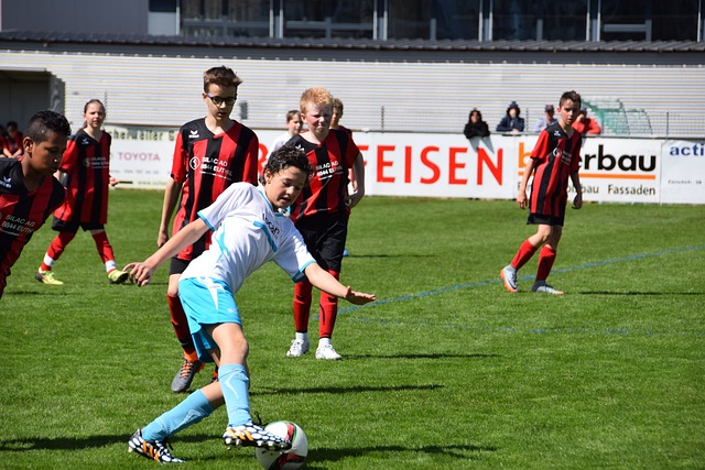 如何延续进 如何延续进