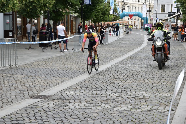 阵容为主 阵容为主