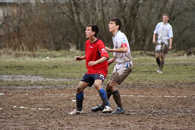 康个人的能 康个人的能