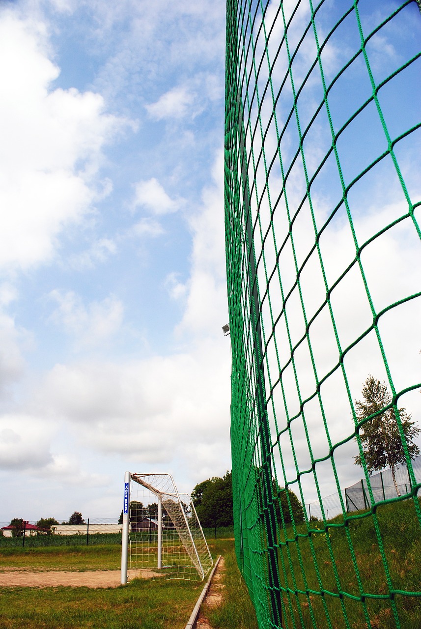 回國的方式 回國的方式