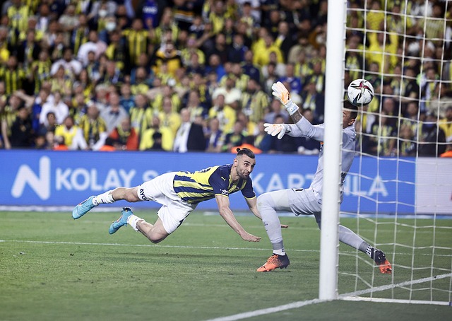 构的多元化 构的多元化